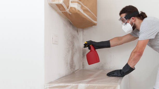 Professional Bathroom Mold Removal technician working in Port Monmouth, NJ